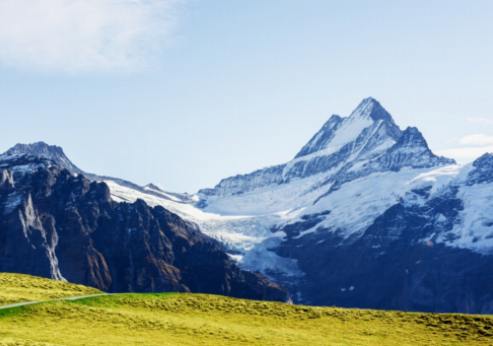 Viișorile la Altitudine: Descoperind vinurile alpine elvețiene