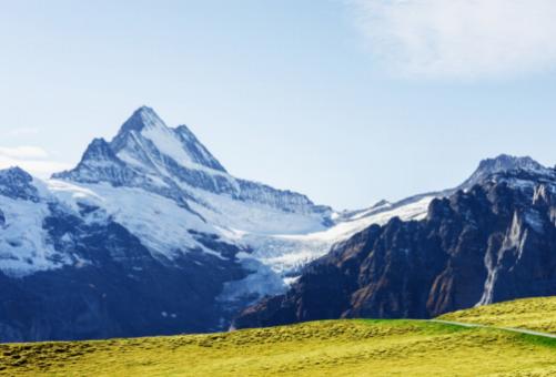 Grădinile Botanice Alpine: Păstrând flora Alpilor Elvețieni.